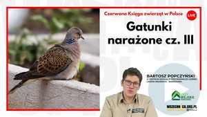 Gatunki narażone na wyginięcie cz.III / Bartosz Popczyński, Wszechnica FWW