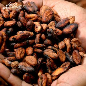 Ghana. Galamsey, kakao i kontrola złota, Mateusz Grzeszczuk