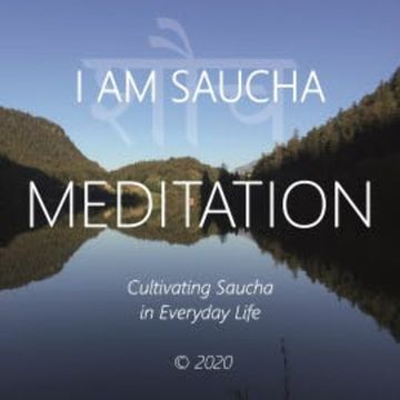 I Am Saucha audiobook, Walter Berger