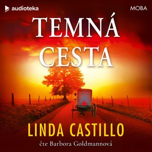 Temná cesta, Linda Castillo