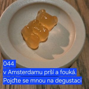 044 v Amsterdamu prší a fouká. Pojd'te se mnou na degustaci, Hana Kuncová, Lukáš Hejlík