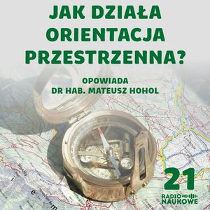 #21 Jak mrówka trafia do mrowiska, a człowiek do domu? O orientacji w przestrzeni | dr Mateusz Hohol, Karolina Głowacka