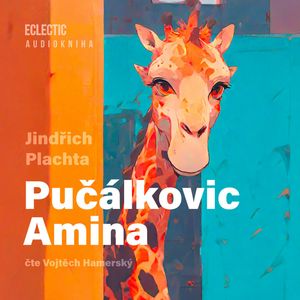 Pučálkovic Amina, Jindřich Plachta