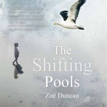 The Shifting Pools (Unabridged) audiobook, Zoe Duncan