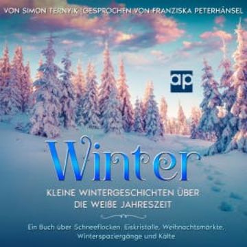 Winter audiobook, Simon Ternyik