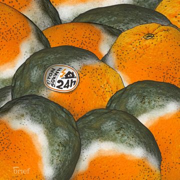 Brief #155 – Prąd z pomarańczy i konflikt w Papui-Nowej Gwinei audiobook, Outride.rs