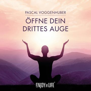 Öffne dein drittes Auge audiobook, Pascal Voggenhuber