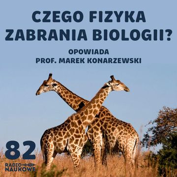 #82 Architektura ciał - jak biologia negocjuje z fizyką? | prof. Marek Konarzewski audiobook, Karolina Głowacka