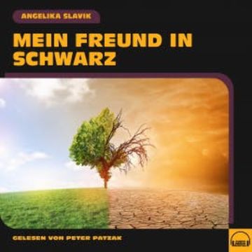 Mein Freund in Schwarz audiobook, Angelika Slavik
