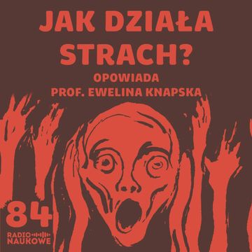#84 Strach, lęk, fobie – jak boi się mózg i czy można tym sterować? | prof. Ewelina Knapska audiobook, Karolina Głowacka