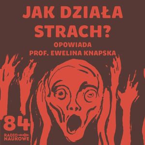 #84 Strach, lęk, fobie – jak boi się mózg i czy można tym sterować? | prof. Ewelina Knapska, Karolina Głowacka