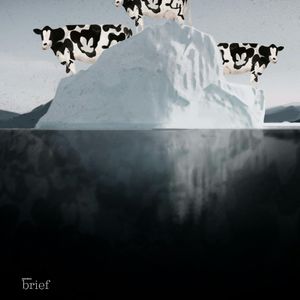 Brief #140 – "Elektroniczna skóra", dieta roślinna i langury, Outride.rs