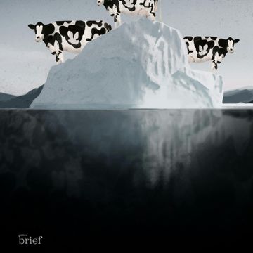 Brief #140 – "Elektroniczna skóra", dieta roślinna i langury audiobook, Outride.rs