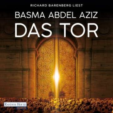 Das Tor audiobook, Basma Abdel Aziz