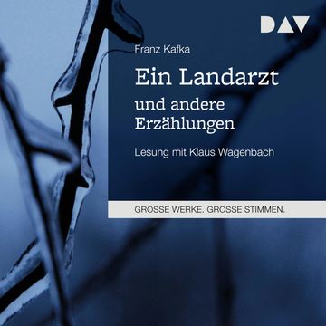 Ein Landarzt und andere Erzählungen audiobook, Franz Kafka