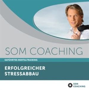 Erfolgreicher Stressabbau, Sascha Oliver Martin, Yann Peifer