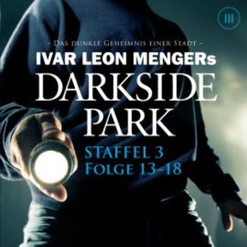Staffel 3: Folge 13-18 audiobook, Raimon Weber
