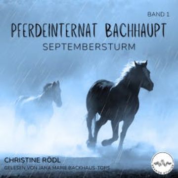 Septembersturm audiobook, Christine Rödl