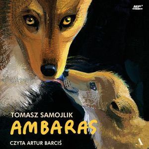 Ambaras, Tomasz Samojlik