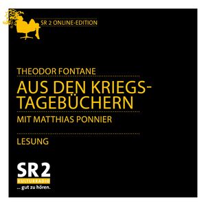 Aus den Kriegstagebüchern, Theodor Fontane