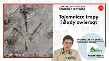 Tajemnicze tropy i ślady zwierząt / Bartosz Popczyński audiobook, Wszechnica FWW