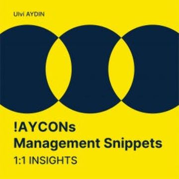 !AYCONs Management Snippets audiobook, Ulvi I. AYDIN