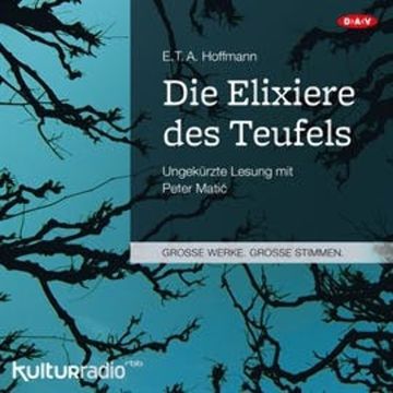 Die Elixiere des Teufels audiobook, E. T. A. Hoffmann