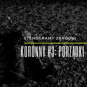 KORONNY #3: PORZĄDKI - kryminał, podcast, słuchowisko, antykryminał, Piotr Wielg