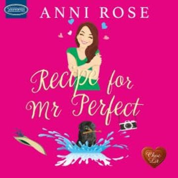 Recipe for Mr Perfect audiobook, Anni Rose