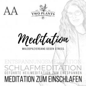 Waldspaziergang gegen Stress - Meditation AA - Meditation zum Einschlafen, Christiane M. Heyn