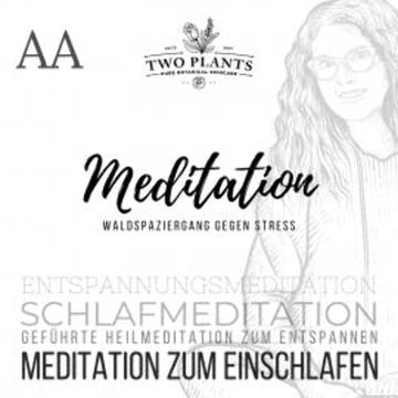 Waldspaziergang gegen Stress - Meditation AA - Meditation zum Einschlafen audiobook, Christiane M. Heyn