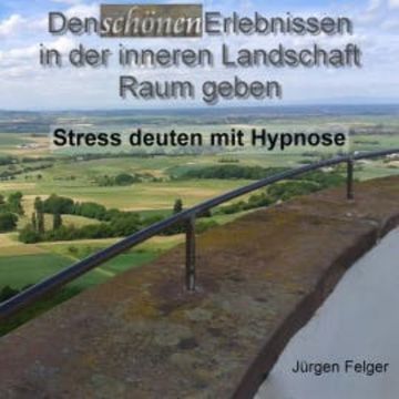 Den schönen Erlebnissen in der inneren Landschaft Raum geben - Stress deuten mit Hypnose audiobook, N.N.