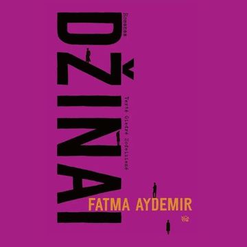 DŽINAI audiobook, Fatma Aydemir