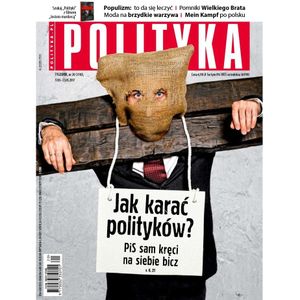 AudioPolityka Nr 20 z 17 maja 2017, Polityka