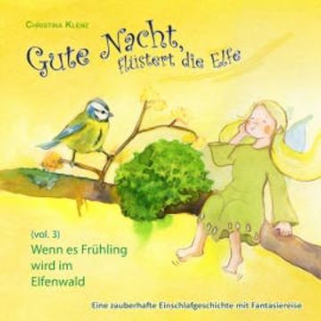 Gute Nacht, flüstert die Elfe, Vol. 3 audiobook, Christina Klenz