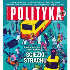 AudioPolityka Nr 29 z 16 lipca 2025 roku, Polityka