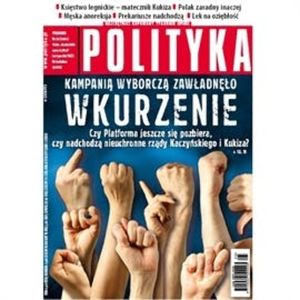 AudioPolityka Nr 25 z 17 czerwca 2015, Polityka