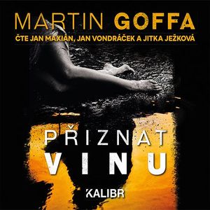 Přiznat vinu, Goffa Martin