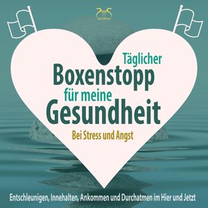 Täglicher Boxenstopp für meine Gesundheit! Entschleunigen, Innehalten, Ankommen und Durchatmen im Hier und Jetzt, Franziska Diesmann, Torsten Abrolat