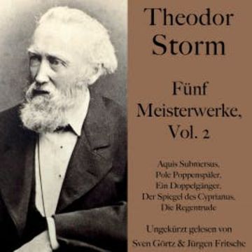 Theodor Storm: Fünf Meisterwerke, Vol. 2 audiobook, Theodor Storm