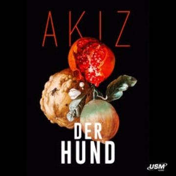 Der Hund audiobook, Akiz