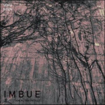 Imbue audiobook, Aliyah Patillo