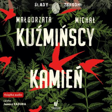 Kamień audiobook, Małgorzata Kuźmińska, Michał Kuźmiński