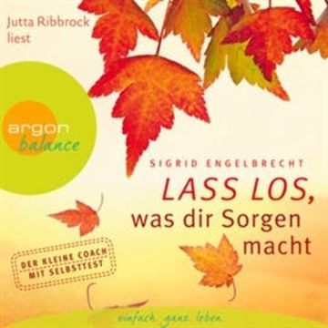 Lass los, was dir Sorgen macht audiobook, Sigrid Engelbrecht