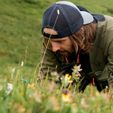 137. Tatrzańska flora pod lupą: Rozmowa z dr Antonim Ziębą audiobook, Bartek Solik