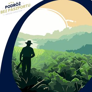 Przemysł tytoniowy w Zimbabwe | Komentarz w Podróży, Mateusz Grzeszczuk