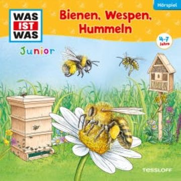 30: Bienen, Wespen, Hummeln audiobook, Friederike Wilhelmi