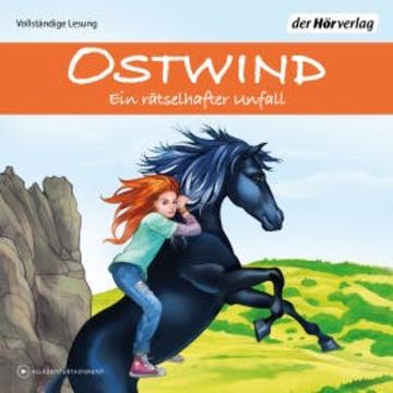 Ostwind - Ein rätselhafter Unfall audiobook, Rosa Schwarz