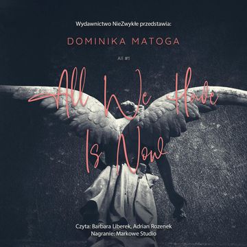 All We Have Is Now audiobook, Dominika Matoga