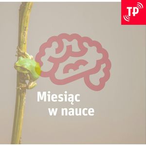 Dlaczego najmniejsze żabki najgorzej skaczą? [Miesiąc w nauce], Łukasz Lamża